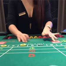casinojr